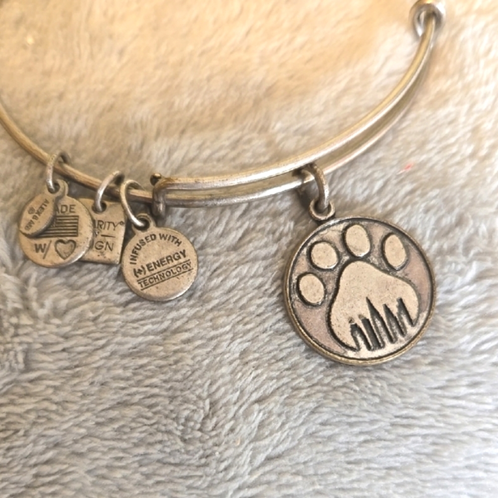 #094 Alex And Ani Silver Paw Print Charm Bracelet - Picture 2 of 3